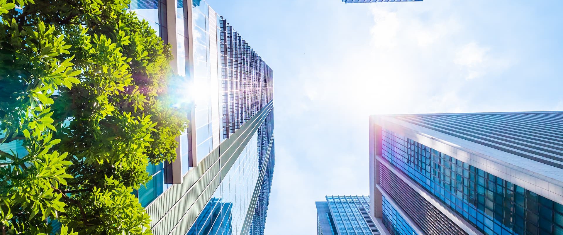 Banner cho thuê văn phòng tòa nhà Rox Tower Sky City Láng Hạ